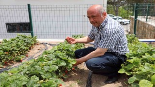 Talasta deneme bahçeleriyle yeni ürünlere teşvik