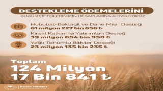 Tarımsal destekleme ödemeleri bugün çiftçilerin hesaplarına yatıyor