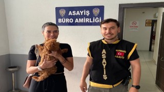 Tatildeki turistin kayıp köpeğini polis buldu