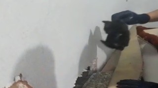 Tavşanlıda iki duvar arasında sıkışan yavru kedi, itfaiye ekiplerince kurtarıldı
