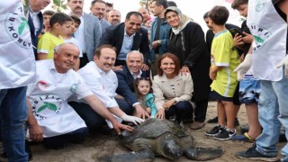 Tedavileri tamamlanan deniz kaplumbağaları denize bırakıldı