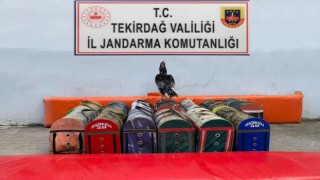 Tekirdağda çiftliğe horoz operasyonu: 20 bin lira ceza kesildi