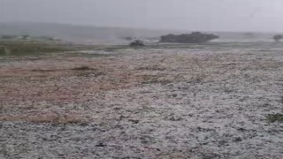 Tokat'ta meyve ağaçları ve ekili arazileri dolu vurdu