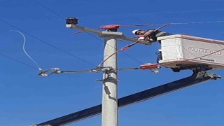 Toroslar EDAŞ, hatlarını yalıtarak kuşların çarpılmasını önlüyor