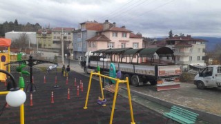 Tosya Belediyesi kamelya üretiminde rekor kırdı