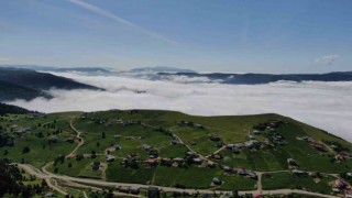 Trabzonun yaylalarından eşsiz bulut denizi manzaraları