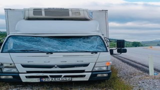 Trafik uyarı tabelasına çarpan kamyonet sürücüsü yaralandı