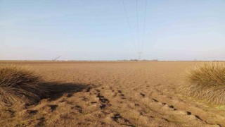 Türkiyenin yüzde 22,5i yüksek çölleşme riski altında