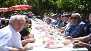 Ulu çınarları buluşturan gelenek