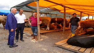 Ümraniye Kurban Bayramına hazır