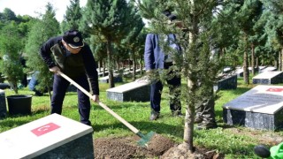 Vali Tutulmaz, Kdz. Ereğli ilçesindeki çalışmaları inceledi