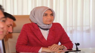 Vali Yiğitbaşından orman yangınları ile ilgili vatandaşa önemli uyarı