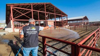 Van Büyükşehir Belediyesi canlı hayvan pazarını ilaçladı