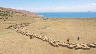 Vanda yaylaya güneş enerjisiyle su ulaştırıldı