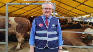 Vekaletle kurban kesme kolaylığı