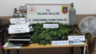 Yalovada evin bodrumunu uyuşturucu serasına çevirdiler