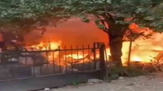 Yanan evden yavru kedi kurtarıldı