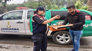 Yaralı Ebabil kuşu eve sığındı
