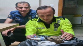 Yaralı yavru karacaya polis ekipleri sahip çıktı
