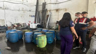 Yasadışı yollarla avlanan deniz patlıcanları denize salındı