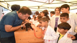 Yavru köpeklerin kalp atışlarını dinlediler.
