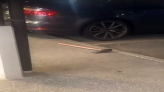 Yeni Zelandada Çin restoranlarına baltalı saldırı: 4 yaralı