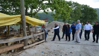 Yetkilerden kurban uyarısı: Cadde, sokak ve parkta kurban kesmek yasak