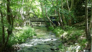 Yılda 40 bin kişi bu kanyonu görmek için yollara düşüyor