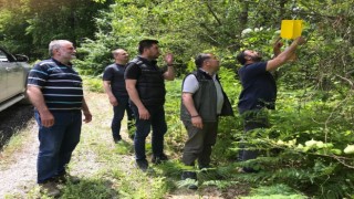Zararlı böceklere karşı ormanlara “feromon tuzağı” kuruluyor