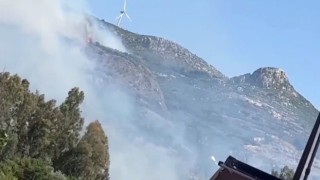 Zeytinlik alanda çıkan yangın korkuttu