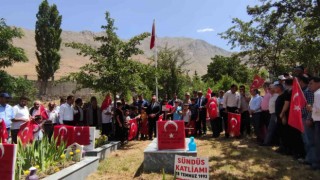 30 yıldır dinmeyen acı