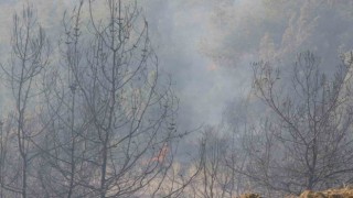 Adanada orman yangınına havadan ve karadan müdahale devam ediyor