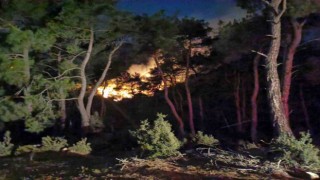 Adanadaki orman yangını kontrol altına alındı