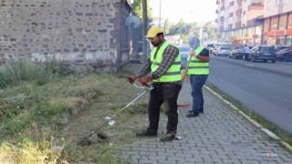 Ağaçlar budanıp yabani otlar temizlendi