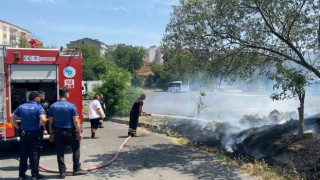 Ağaçlık alanda çıkan yangın korkuttu