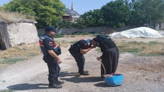 Aksaray Jandarma yaşlıların bayramını kutlayarak ihtiyaçlarını giderdi