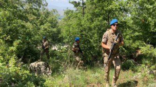 Aksarayda komandolar ormanda denetim yapıyor