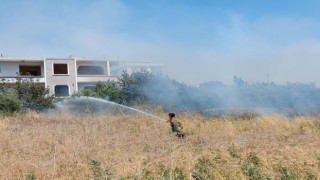 Alevlerin içinde kalan kaplumbağayı itfaiye kurtardı