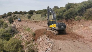 Aliağada ormanlık alanlarda hummalı çalışma