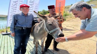 Altını çocuklar buldu, yoğurdu eşek yedi