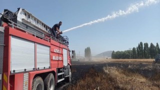 Altıntaşta çıkan yangında 60 dekar hububat ekili alan zarar gördü