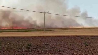 Ankarada 500 dönümlük tarla yangında kül oldu
