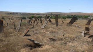 Ankarada Selçuklu mezar taşlarını andıran şahideler merak uyandırıyor