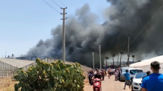 Antalyada çiçek işleme tesisinde yangın
