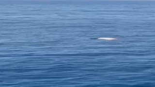 Antalyada deniz üzerinde erkek cesedi bulundu