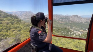 Ormanlarda jandarma denetimi