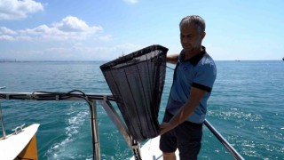 Antalyada kıyılar, deniz süpürgesi, denetim teknesi, elektronik gemi denetim sistemiyle korunacak