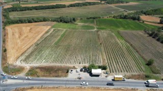 Arnavutköyde bakanlık destekli projeye yoğun ilgi: Kadınlar yetiştiriyor, vatandaş topluyor