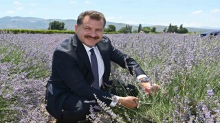 Aromaterapinin şifalı dünyasına yolculuk başlıyor