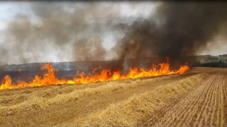 Aşırı sıcaklar hububat tarlalarında yangın riskini artırıyor
